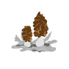 I'd rather be mushroom picking
