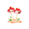 Certified Mushroom Picker Adventure