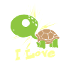 I Love Turtles