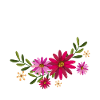 Tarantula With Flowers