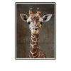 Giraffen Giraffe