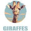 Giraffen Giraffe
