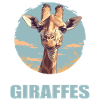 Giraffen Giraffe