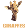 Girafes Girafe