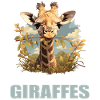 Giraffes Giraffe
