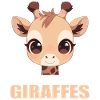 Giraffes Giraffe