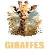 Giraffes Giraffe