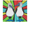 Comedian Blue-footed Booby