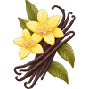 vanilla
