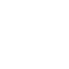 Schwarzer Panther