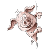 Droll Piggy Pig Pig Pig Pig
