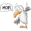 Moin Saying Seagull Animal Motif
