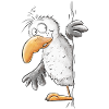 Drollige Möwe Tiermotiv