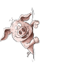 I Just Really Like Pigs Pig Pig