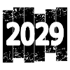 2029
