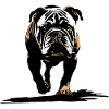 Bouledogue Bulldogs Silhouette