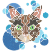 Cat Geometry
