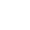 Jesus as King Symbol on Shirt