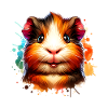 Guinea pig