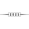 2025 Ornament