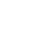 2025 Element