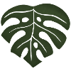 Feuille de monstera