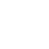 Labrador Retriever Sennenhund