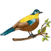 Bunter Vogel