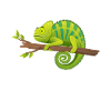 Chameleon Gifts