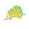 Chameleon Gifts