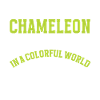 Chameleon Gifts