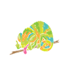 Chameleon Gifts