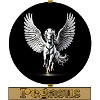 Pegasus Winged Steed