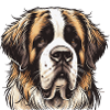Saint Bernard