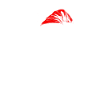 Cerf de Noël
