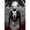 Kult des Waldes
