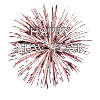 Bonne Année