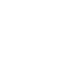 Cygne d’eau volant élégant
