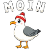 Moin Möwe