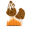 Soppplukker Du er Sporegeous
