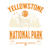 Yellowstone Forest Landscape