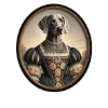 Portrait of Weimaraner dog Lou