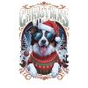 Border Collie Christmas Vibes