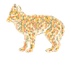 Coyote Geometric