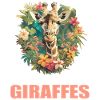 Giraffes Giraffe