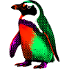 Pingouin