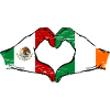 Mexico Ireland flag hands heart shape used