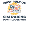 Sim Racing