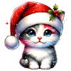Chat mignon Noël