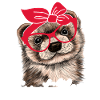Ferret Mom Pet Owner